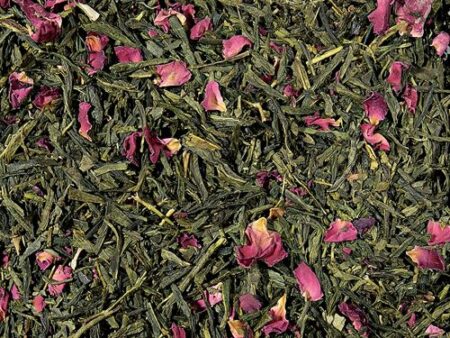 Sencha_Sakura_Kirsch_GT