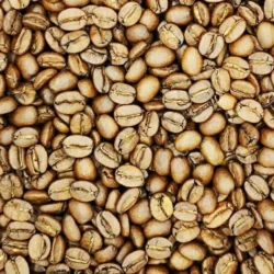 KAFFEE BEST OF BRAZIL “FAZENDA LAGOA”